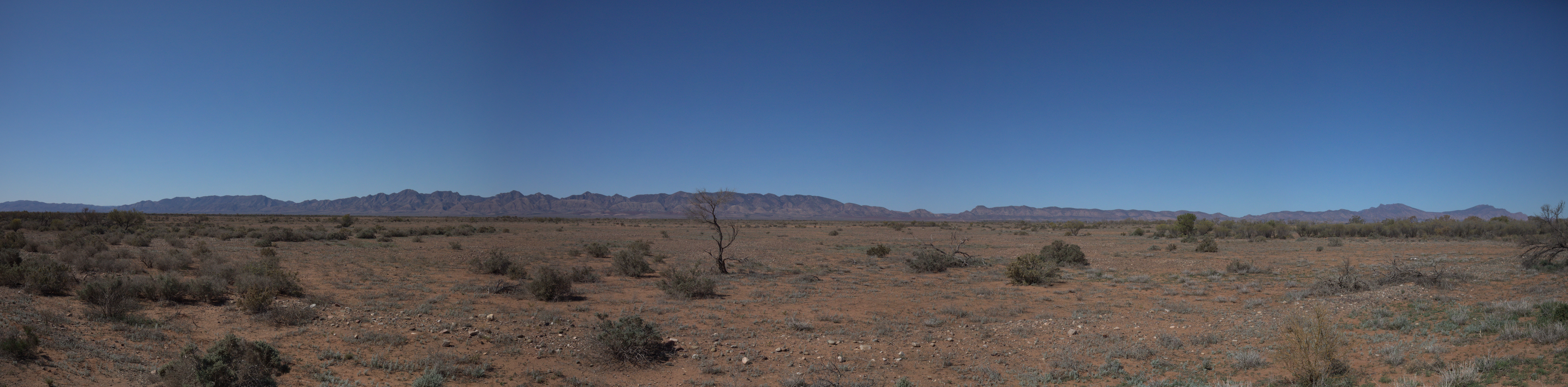 2019 09 01 13 23 17 Canon EOS 5D Mark IV 0021